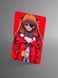 Holographic sticker for a bank card &ldquo;Asuka&rdquo;