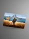 Sticker for a bank card &ldquo;Mark&rdquo;