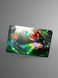 Holographic sticker for bank card &ldquo;Windranger&rdquo;